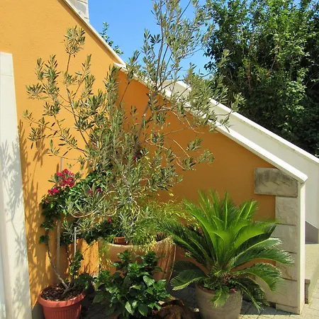 Apartments With Parking Space Orebic, Peljesac - 4536 Apartment